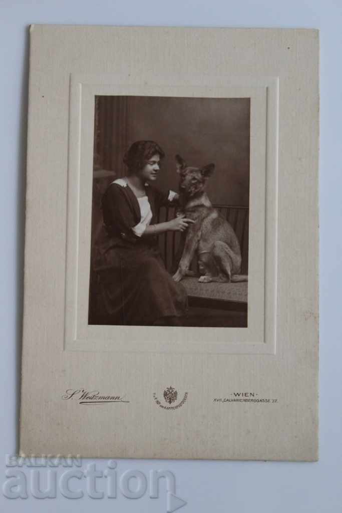 VIENNA OLD PHOTO PHOTO CARDBOARD DOG
