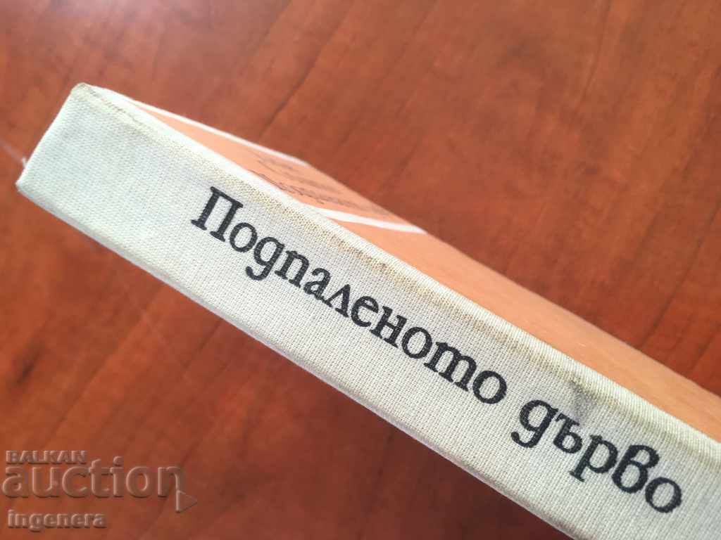 Auction THE BOOK-WOOD BOOK-1973 Auction THE BOOK-WOOD BOOK-1973