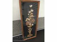 Picture of herbarium flowers