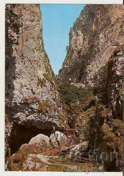 Card Bulgaria Trigrad Smolyan Rocks 2 *