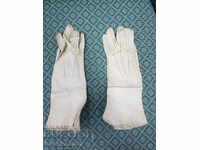 Collection Royal Ladies Leather Gloves 1920-30g
