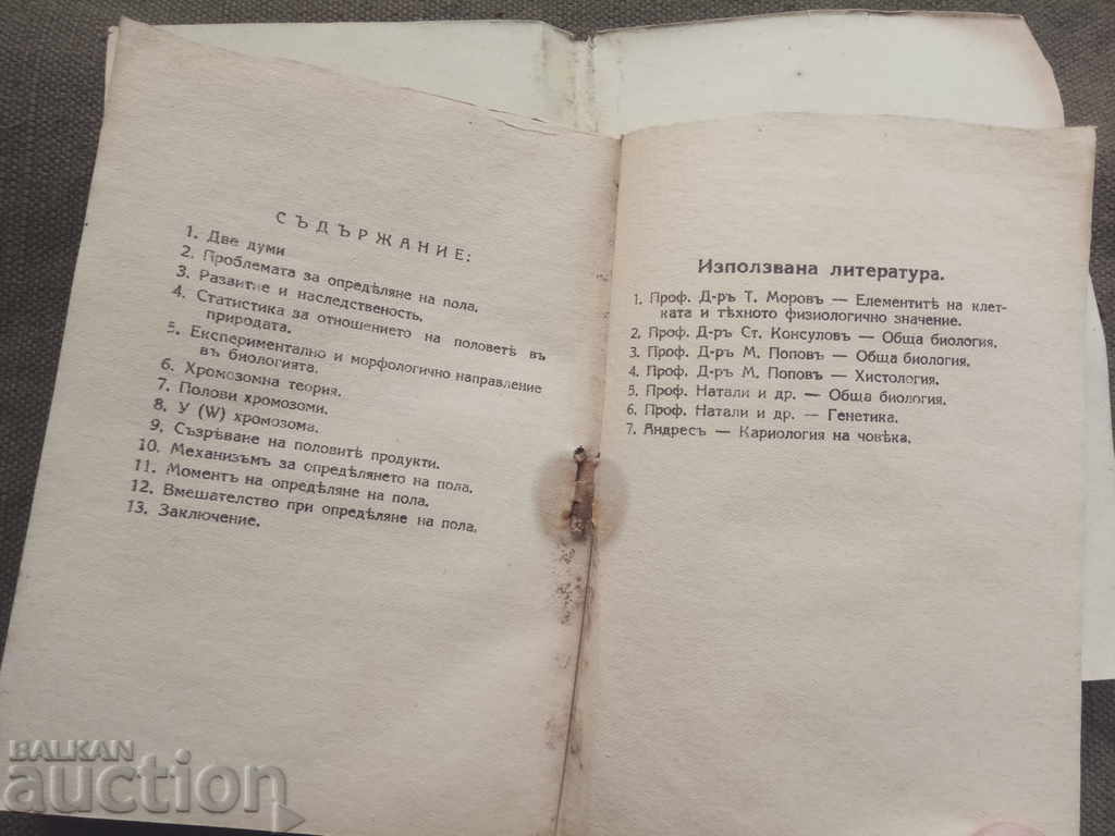 Auction Sex determination. Eve. Vasilev (with autograph) Auction Sex determination. Eve. Vasilev (with autograph)