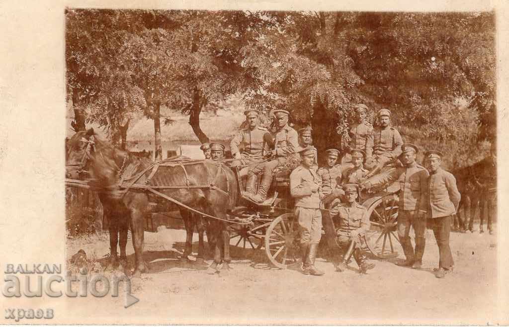 OLD PHOTOS - 1918 - WAR