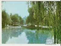 Картичка  България  Толбухин Езерото в парка 2*