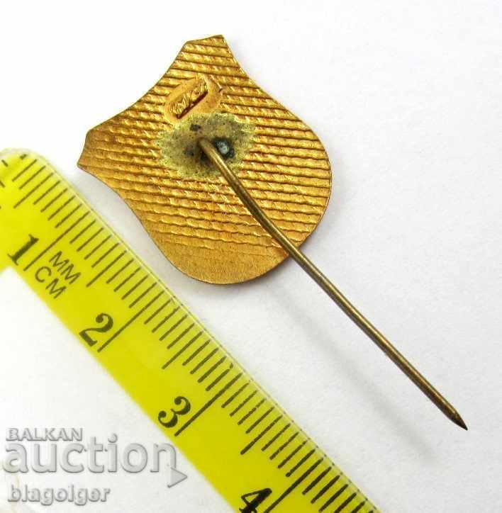 Old Heraldry Badge-Cave-Coat of Arms-Heraldry-Bronze-Enamel - 5 Old Heraldry Badge-Cave-Coat of Arms-Heraldry-Bronze-Enamel - 5