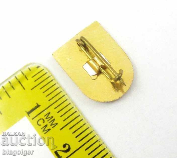 Auction Old coat of arms badge-Panagyurishte-Coat of Arms-Heraldry Auction Old coat of arms badge-Panagyurishte-Coat of Arms-Heraldry