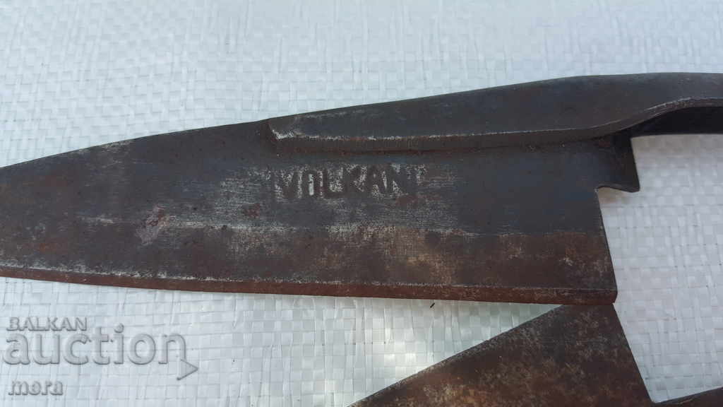 Ancient animal clippers - 6 Ancient animal clippers - 6