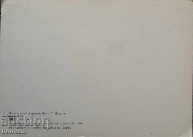 Birds card: Crowned cranes with price 3.00 BGN | € 1.53 Birds card: Crowned cranes with price 3.00 BGN | € 1.53