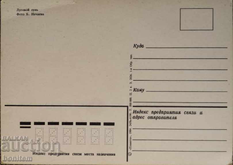 Birds card - Meadow bog with price 4.00 BGN | € 2.05 Birds card - Meadow bog with price 4.00 BGN | € 2.05