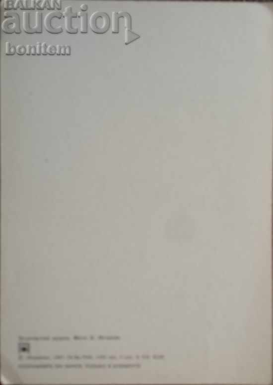 Bird Card - Common Bee-eater with price 3.00 BGN | € 1.53 Bird Card - Common Bee-eater with price 3.00 BGN | € 1.53