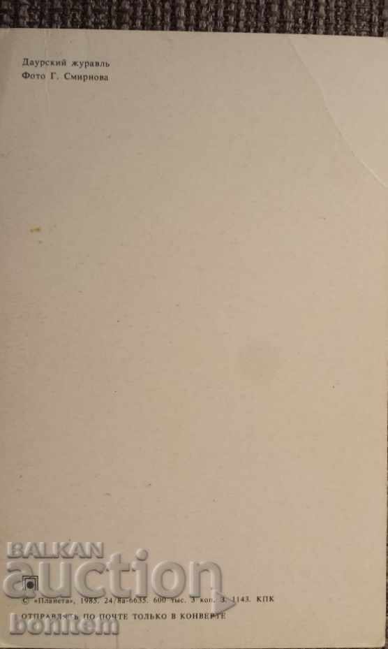 Birds card - Daurian Crane with price 3.50 BGN | € 1.79 Birds card - Daurian Crane with price 3.50 BGN | € 1.79