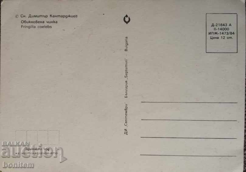 Bird Card - Plain Finch with price 2.50 BGN | € 1.28 Bird Card - Plain Finch with price 2.50 BGN | € 1.28