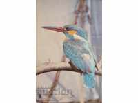 Картичка птици - Земородно рибарче