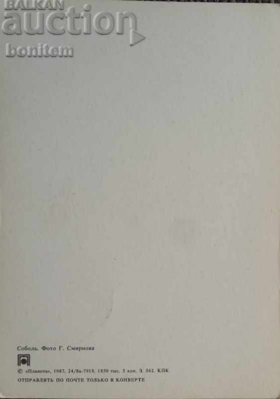 Картичка животни - Самур с цена 2.00 лв. | € 1.02 Картичка животни - Самур с цена 2.00 лв. | € 1.02