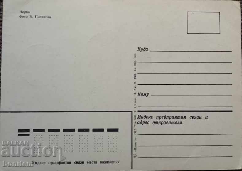 Animal card - Mink with price 2.50 BGN | € 1.28