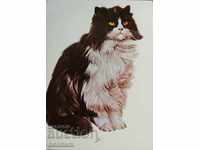 Картичка животни - Персийска котка