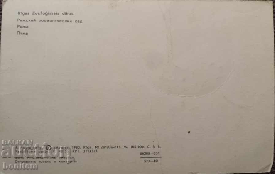 Animal Cards - Puma with price 0.80 BGN | € 0.41 Animal Cards - Puma with price 0.80 BGN | € 0.41