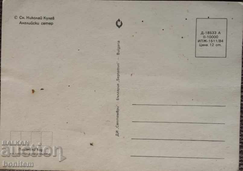 Animal Cards - English Setter with price 1.00 BGN | € 0.51