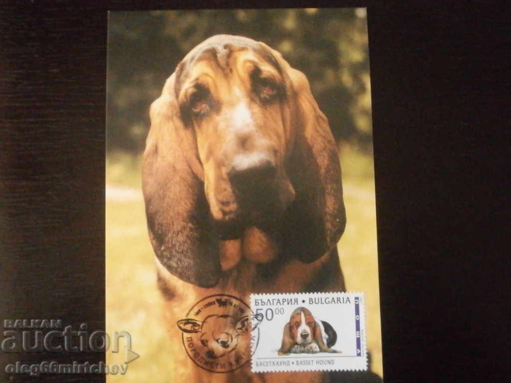 Bulgaria 1997 KM - Pedigree dogs - 4 KM with price 5.00 BGN | € 2.56