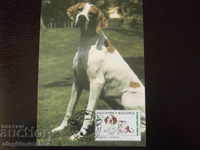 Βουλγαρία 1997 KM - Γενεαλογικοί σκύλοι - 4 KM