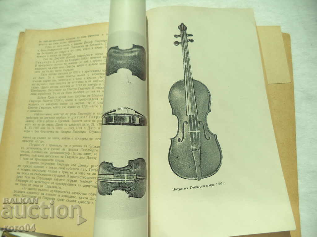 THE VIOLETS AND THEIR MASTERS - K. HNATYUK / V. MARKOVICH - 5