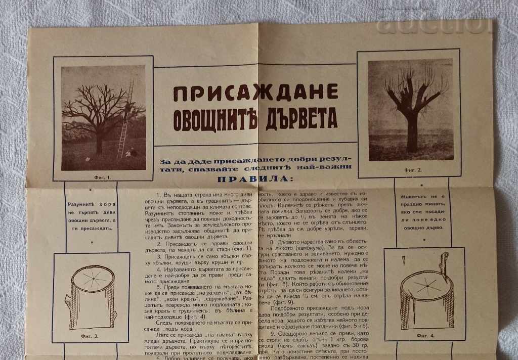 SP. REGULARE VEGETALĂ BULGARĂ 1931 cu preț 3.00 BGN | € 1.53