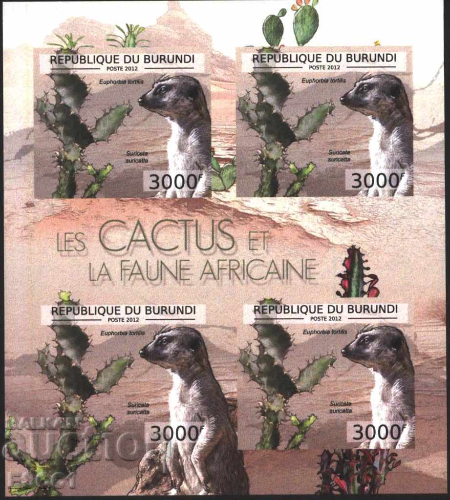 Delivery of Pure Blocks Perforated Fauna and Cactus 2012 Burundi Delivery of Pure Blocks Perforated Fauna and Cactus 2012 Burundi