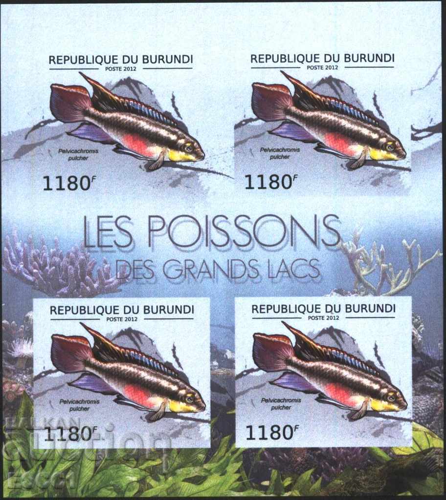 Delivery of Pure Unperforated Blocks Fish Fauna 2012 Burundi Delivery of Pure Unperforated Blocks Fish Fauna 2012 Burundi