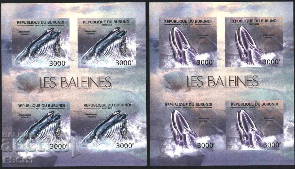 Pure Unperforated Blocks Whale Fauna 2012 Burundi with price 90.00 BGN | € 46.02 Pure Unperforated Blocks Whale Fauna 2012 Burundi with price 90.00 BGN | € 46.02