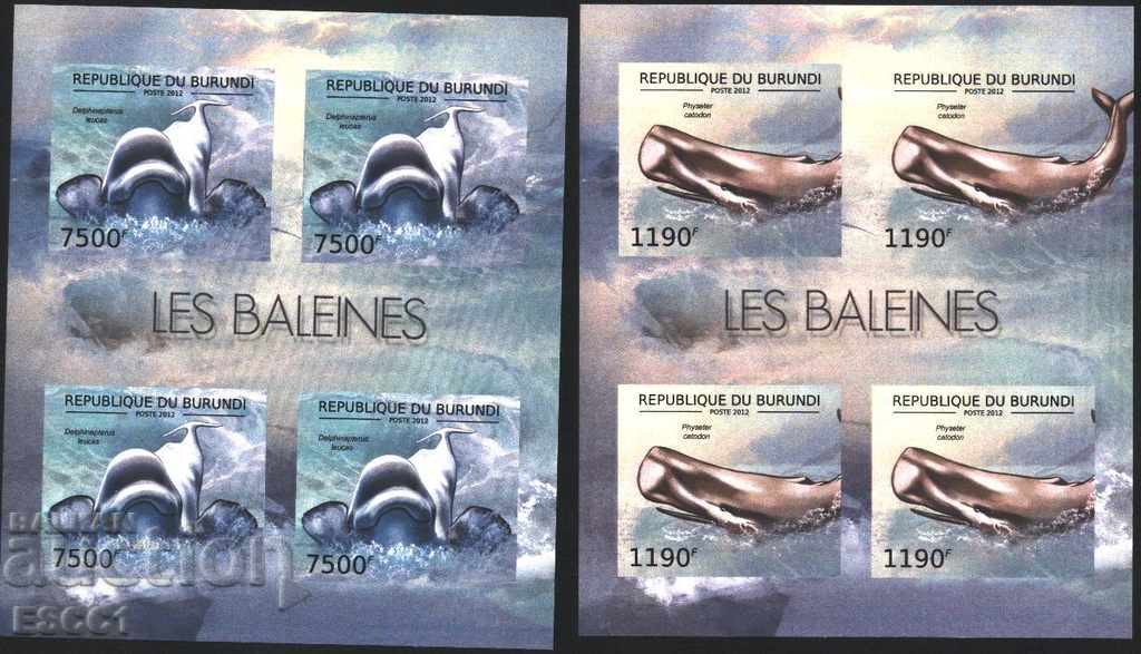 Auction Pure Unperforated Blocks Whale Fauna 2012 Burundi Auction Pure Unperforated Blocks Whale Fauna 2012 Burundi