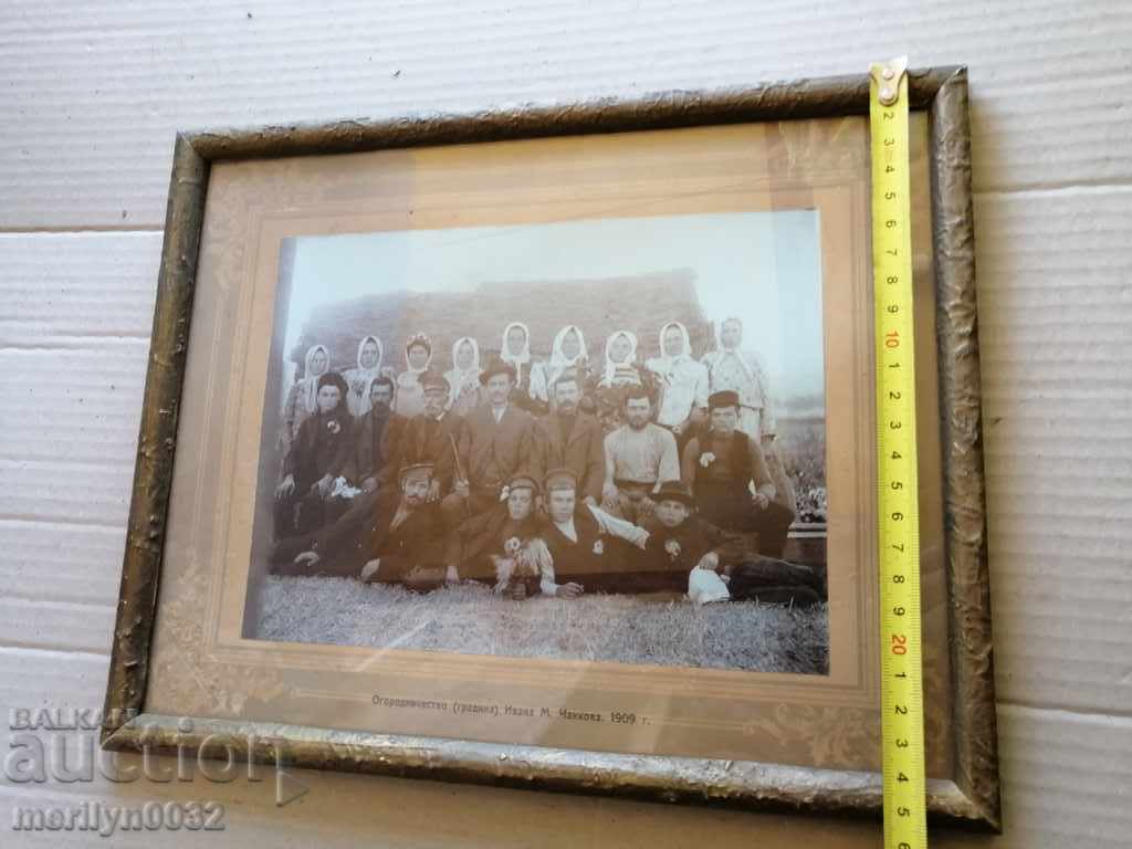 Portrait Of Granny Ceilings Photo Photography Frame - 6 Portrait Of Granny Ceilings Photo Photography Frame - 6