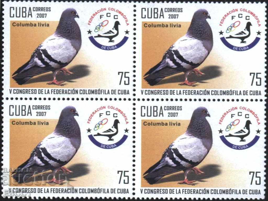 Clean brand in Box Fauna Bird Dove 2007 from Cuba