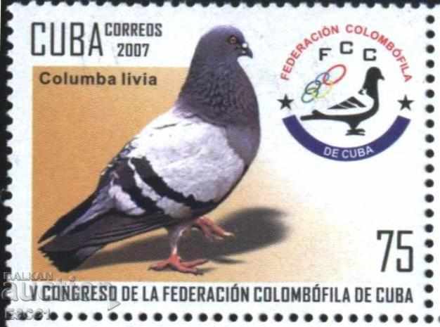 Чиста марка   Фауна Птица Гълъб 2007 от Куба