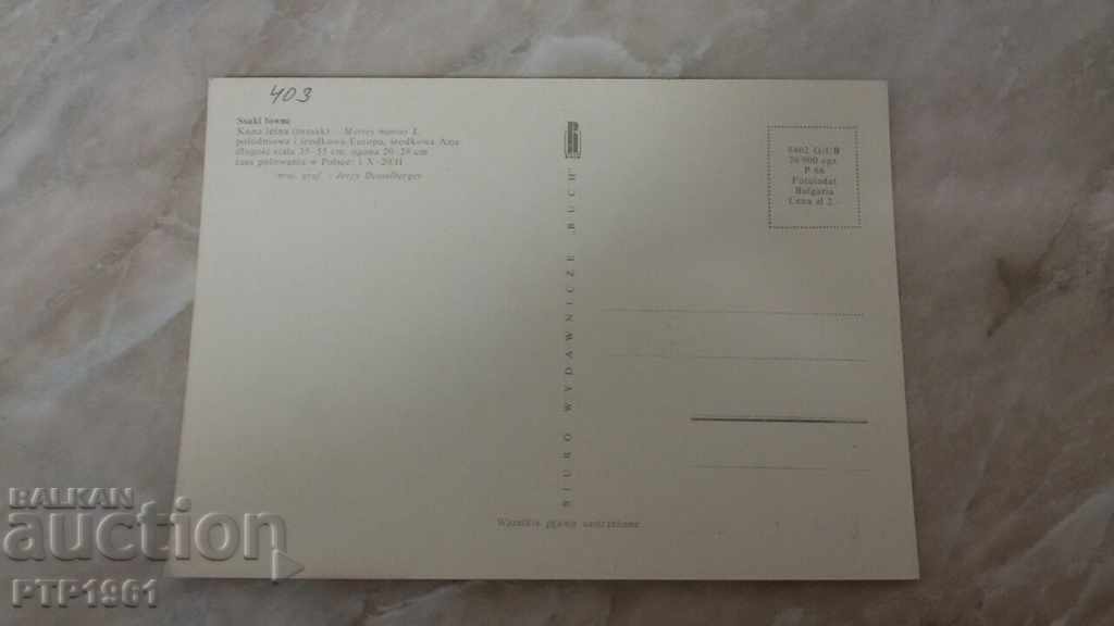 κυνήγι με τιμή 1.00 BGN | € 0.51 κυνήγι με τιμή 1.00 BGN | € 0.51