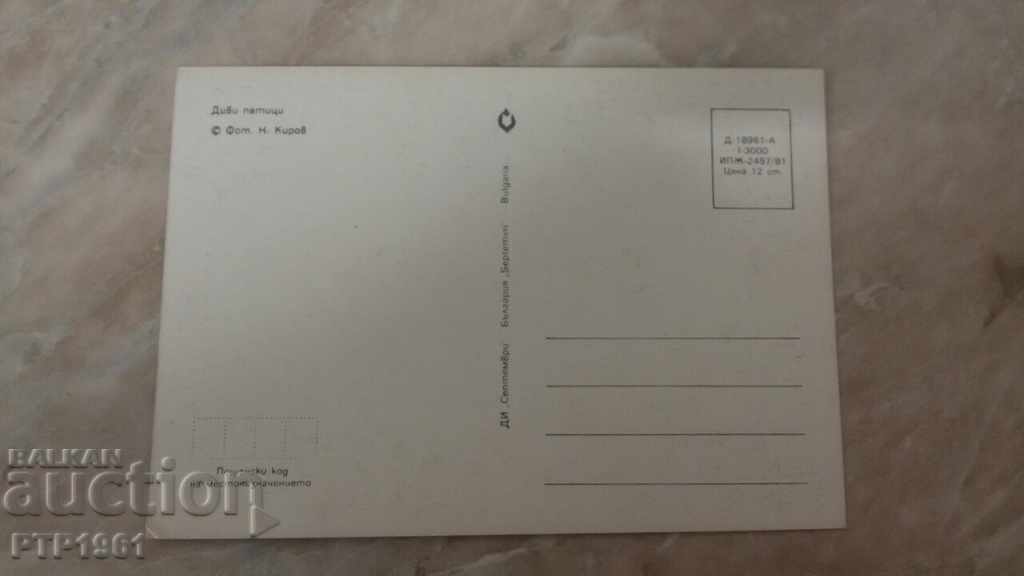 hunting with price 1.00 BGN | € 0.51 hunting with price 1.00 BGN | € 0.51