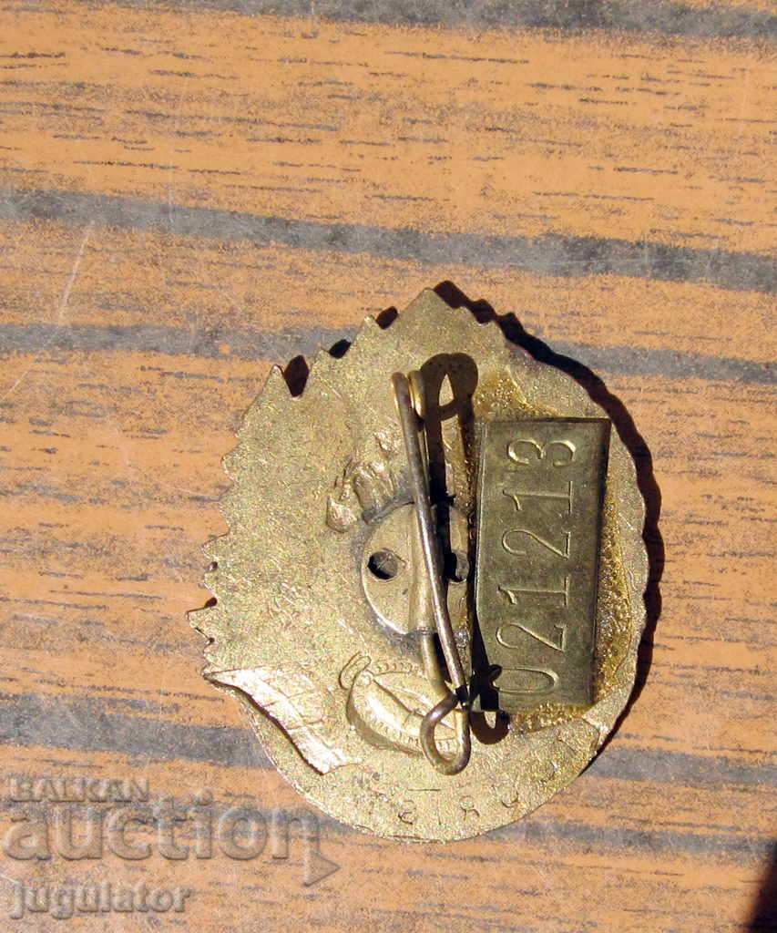 old german tourist badge tourist sign - 6