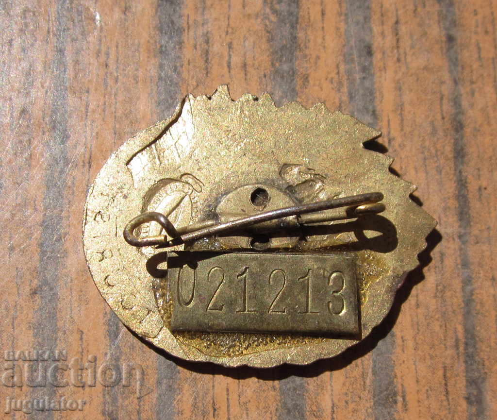 old german tourist badge tourist sign - 7