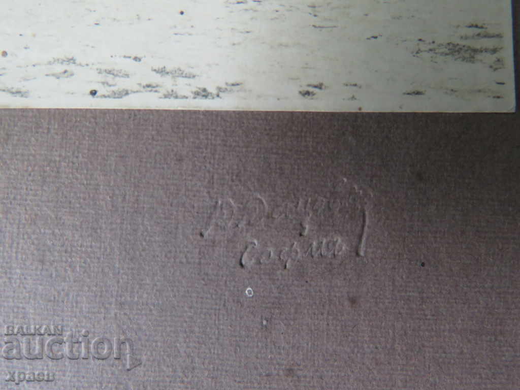 Auction OLD PHOTOGRAPHY - CARDBOARD - EXCELLENT - LARGE 079 Auction OLD PHOTOGRAPHY - CARDBOARD - EXCELLENT - LARGE 079