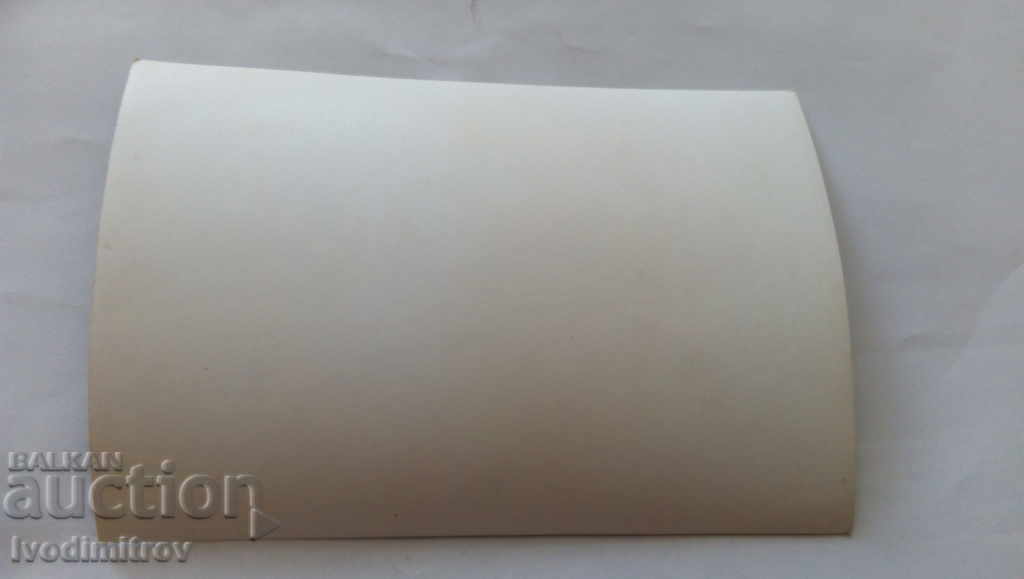 Φωτογραφία Μικρό κουτάβι με τιμή 0.65 BGN | € 0.33 Φωτογραφία Μικρό κουτάβι με τιμή 0.65 BGN | € 0.33