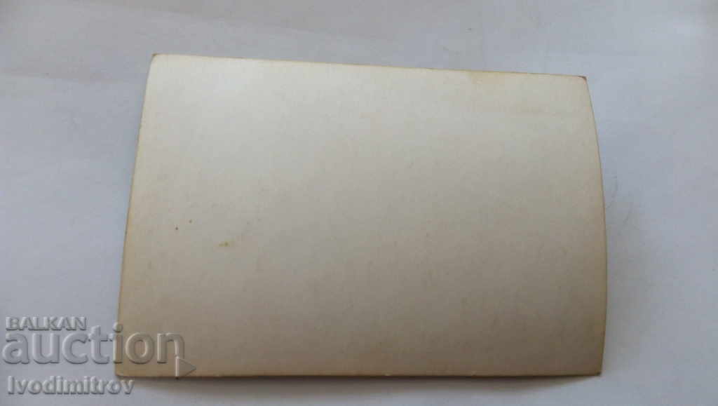 Φωτογραφία σκύλου 4 με τιμή 0.65 BGN | € 0.33 Φωτογραφία σκύλου 4 με τιμή 0.65 BGN | € 0.33