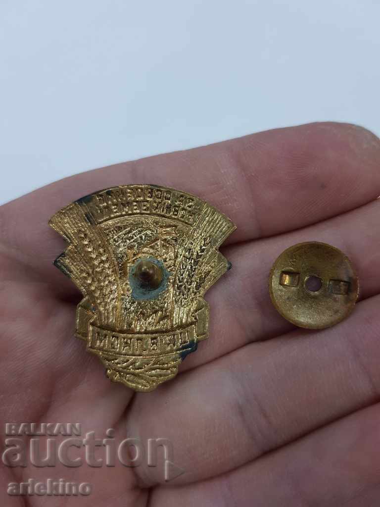 Delivery of Beautiful Russian USSR agricultural badge with gilt and enamel Delivery of Beautiful Russian USSR agricultural badge with gilt and enamel