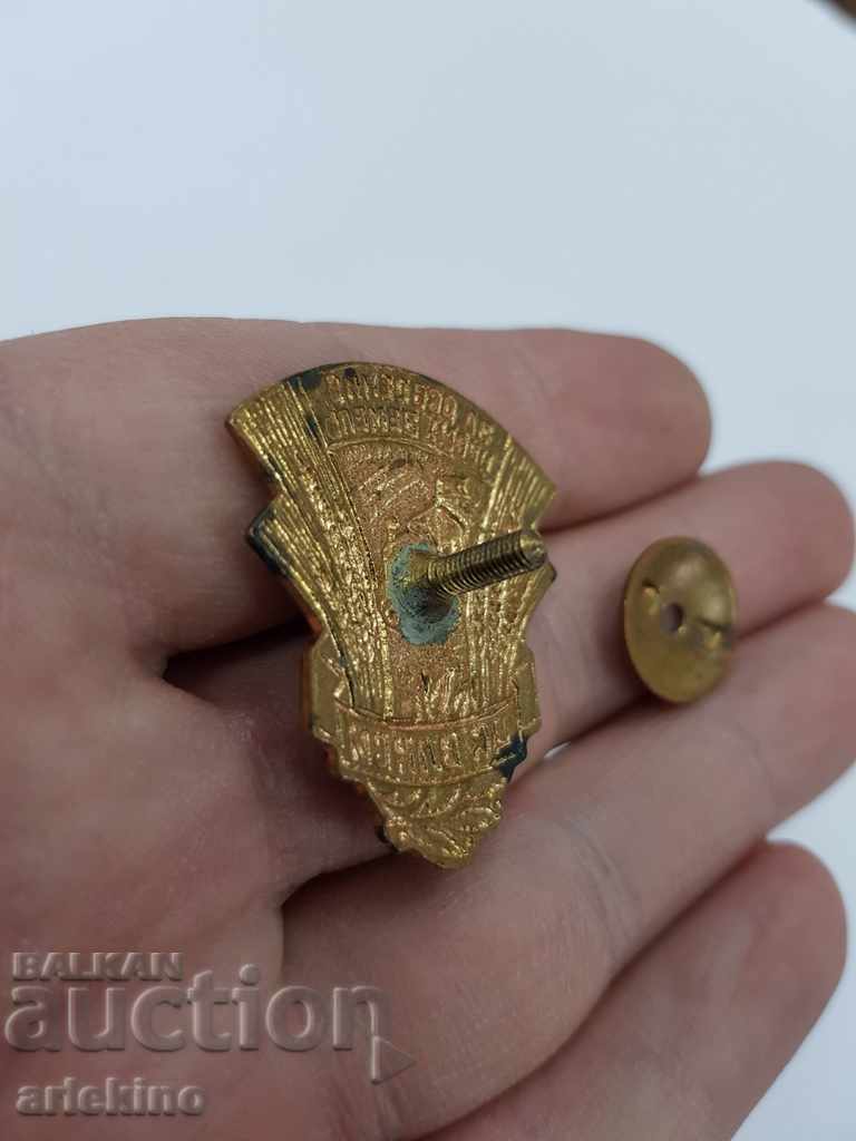 Beautiful Russian USSR agricultural badge with gilt and enamel - 5 Beautiful Russian USSR agricultural badge with gilt and enamel - 5