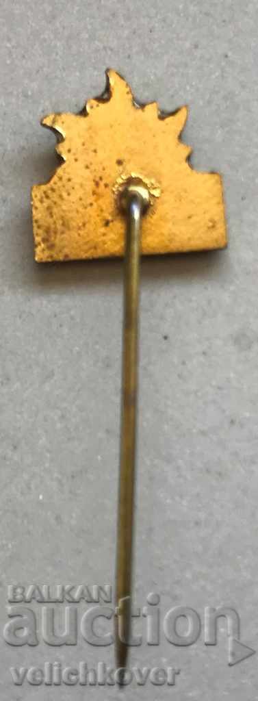 27875 Bulgaria edelweiss tourist sign with price 2.00 BGN | € 1.02 27875 Bulgaria edelweiss tourist sign with price 2.00 BGN | € 1.02