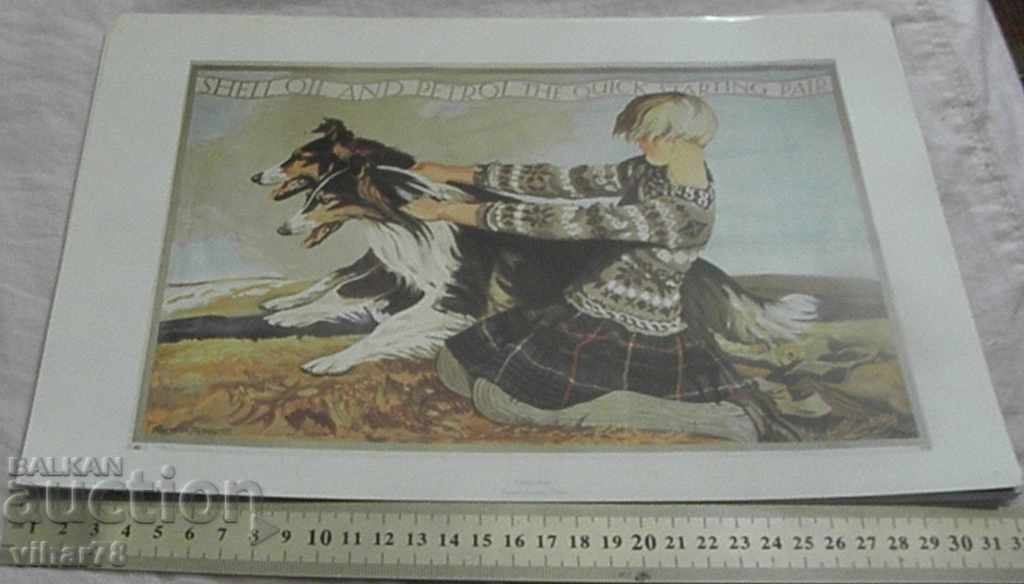 LITOGRAPHY-ADVERTISEMENT OF SHELL-NUMBER 1 with price 29.99 BGN | € 15.33 LITOGRAPHY-ADVERTISEMENT OF SHELL-NUMBER 1 with price 29.99 BGN | € 15.33