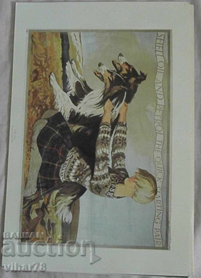 Auction LITOGRAPHY-ADVERTISEMENT OF SHELL-NUMBER 1 Auction LITOGRAPHY-ADVERTISEMENT OF SHELL-NUMBER 1