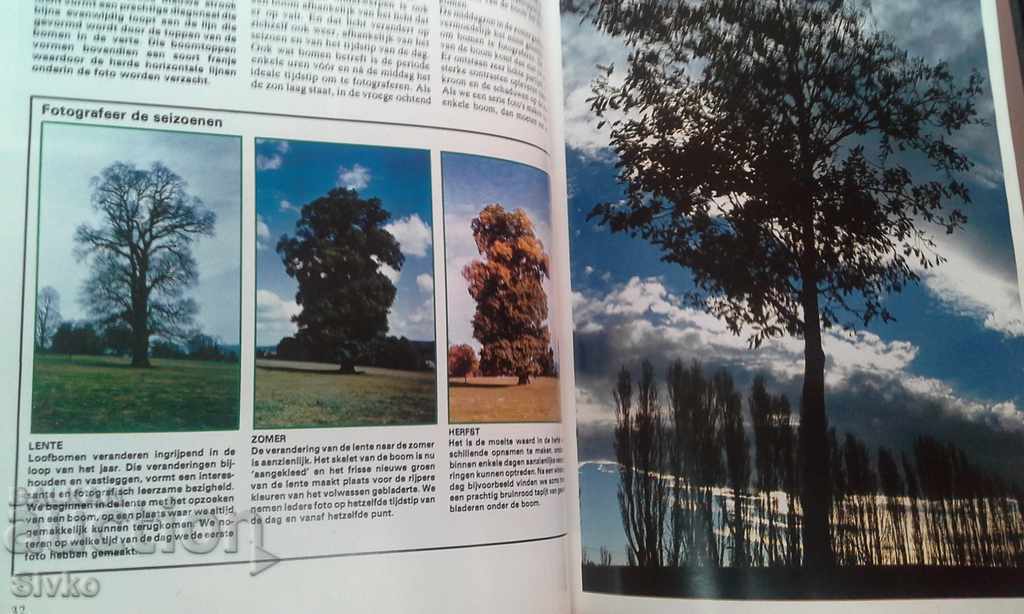 Delivery of Encyclopedia of Photography 3