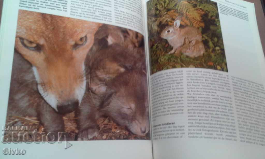 Encyclopedia of Photography 3 - 5