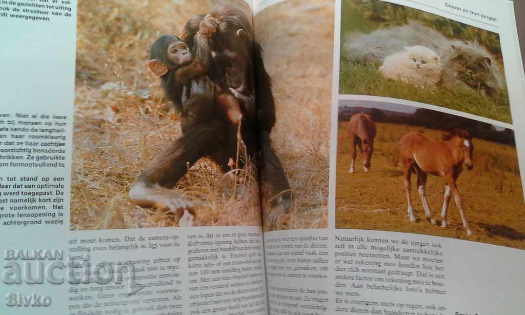 Encyclopedia of Photography 3 - 6