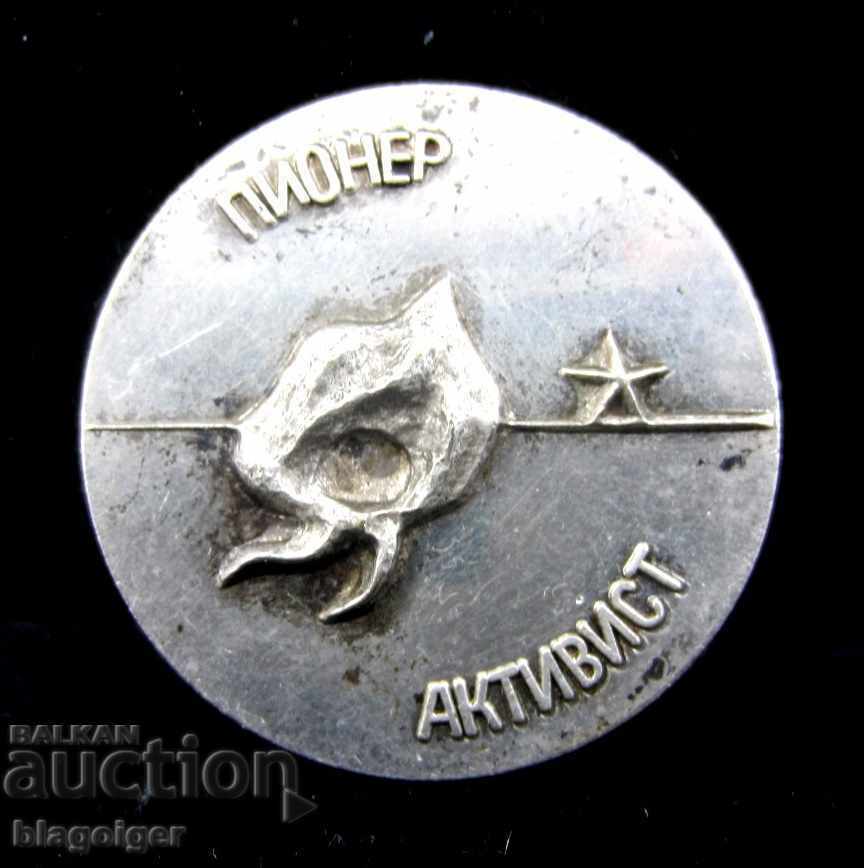 Auction PIONEER ACTIVIST-AWARDED SIGN-SOCIAL Auction PIONEER ACTIVIST-AWARDED SIGN-SOCIAL