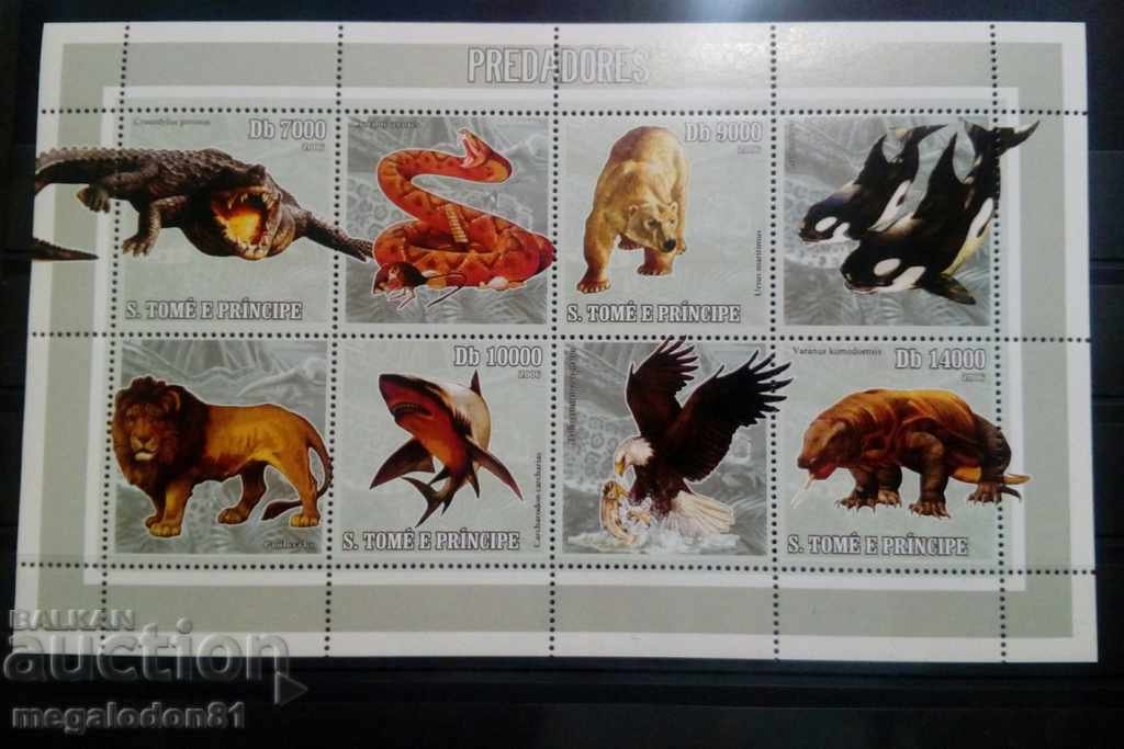 Сао Томе - хищници, фауна Сао Томе - хищници, фауна